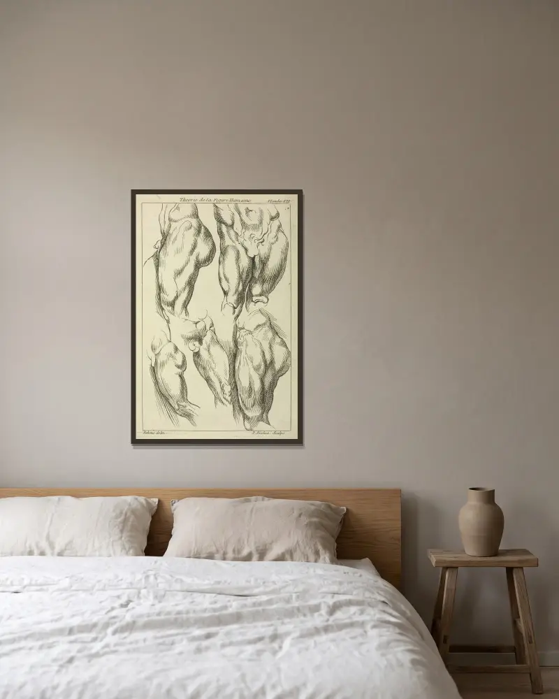 Studier av manliga ljumskar av Peter Paul Rubens inramad på en vägg