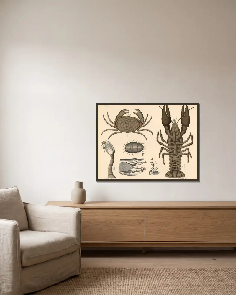 Krebstiere von Peter Dybdahl gerahmt an einer Wand