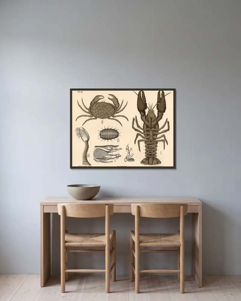 Krebstiere von Peter Dybdahl gerahmt an einer Wand