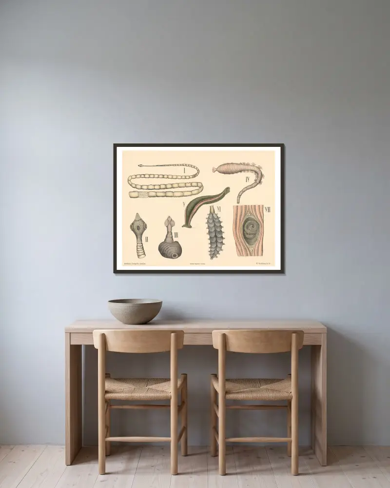 Schlangen von Peter Dybdahl gerahmt an einer Wand
