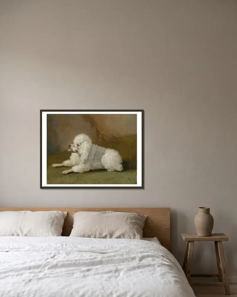 Porträt eines Pudels von Jacob Philipp Hackert gerahmt an einer Wand