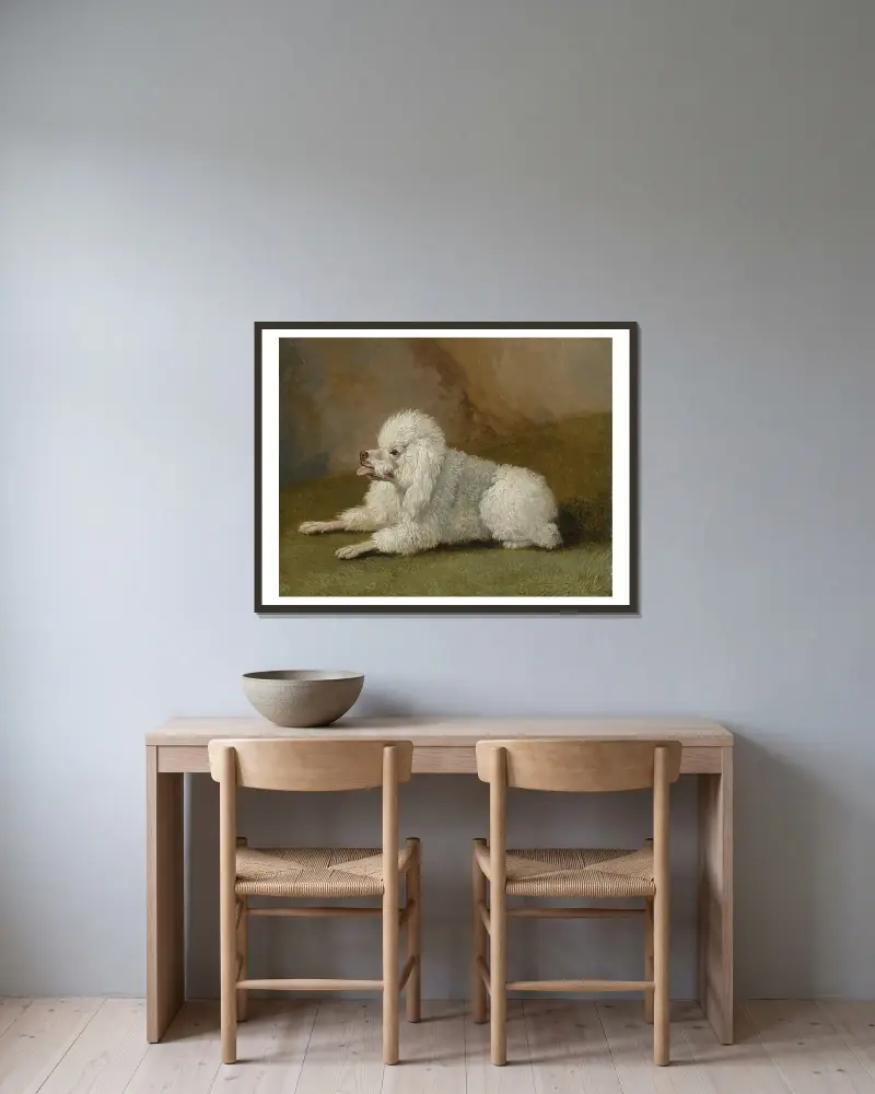 Porträt eines Pudels von Jacob Philipp Hackert gerahmt an einer Wand