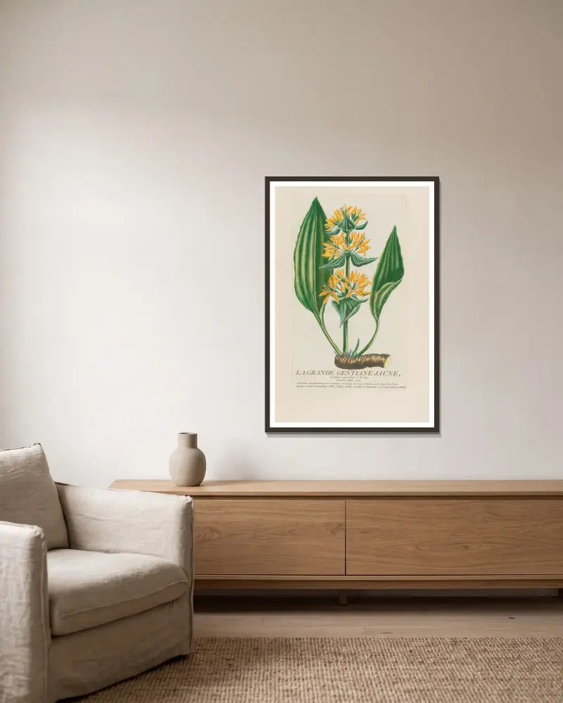 La Grande Gentiane Jaune av Pierre Philippe Alyon inramad på en vägg