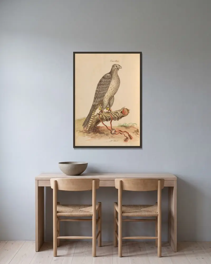Fåglar från kungens menageri, plansch 1 av Pieter Boel inramad på en vägg