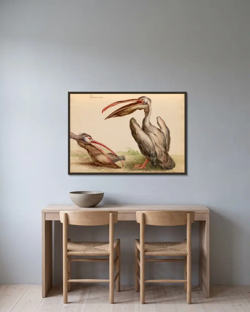 Fåglar från kungens menageri, plansch 4 av Pieter Boel inramad på en vägg