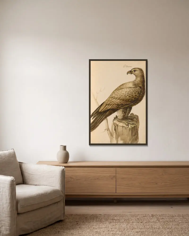 Vögel aus der Menagerie des Königs, Taf. 05 von Pieter Boel gerahmt an einer Wand