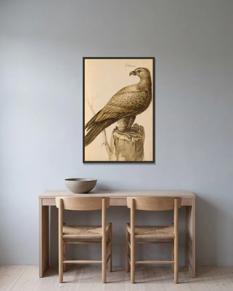 Vögel aus der Menagerie des Königs, Taf. 05 von Pieter Boel gerahmt an einer Wand