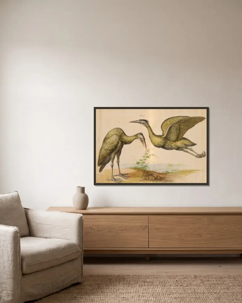 Vögel aus der Menagerie des Königs, Tafel 12 von Pieter Boel gerahmt an einer Wand