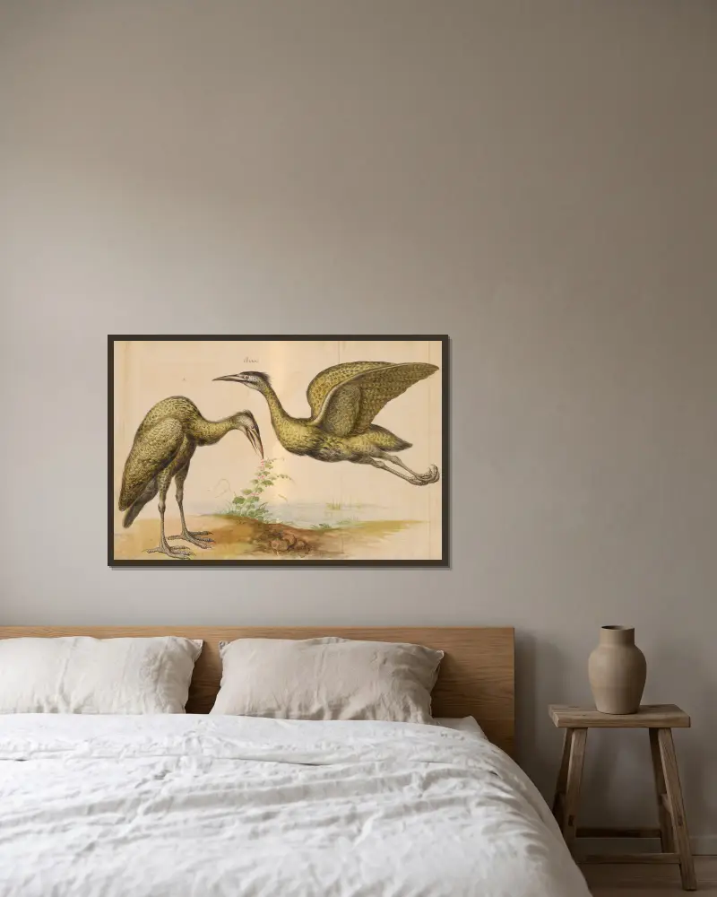 Vögel aus der Menagerie des Königs, Tafel 12 von Pieter Boel gerahmt an einer Wand