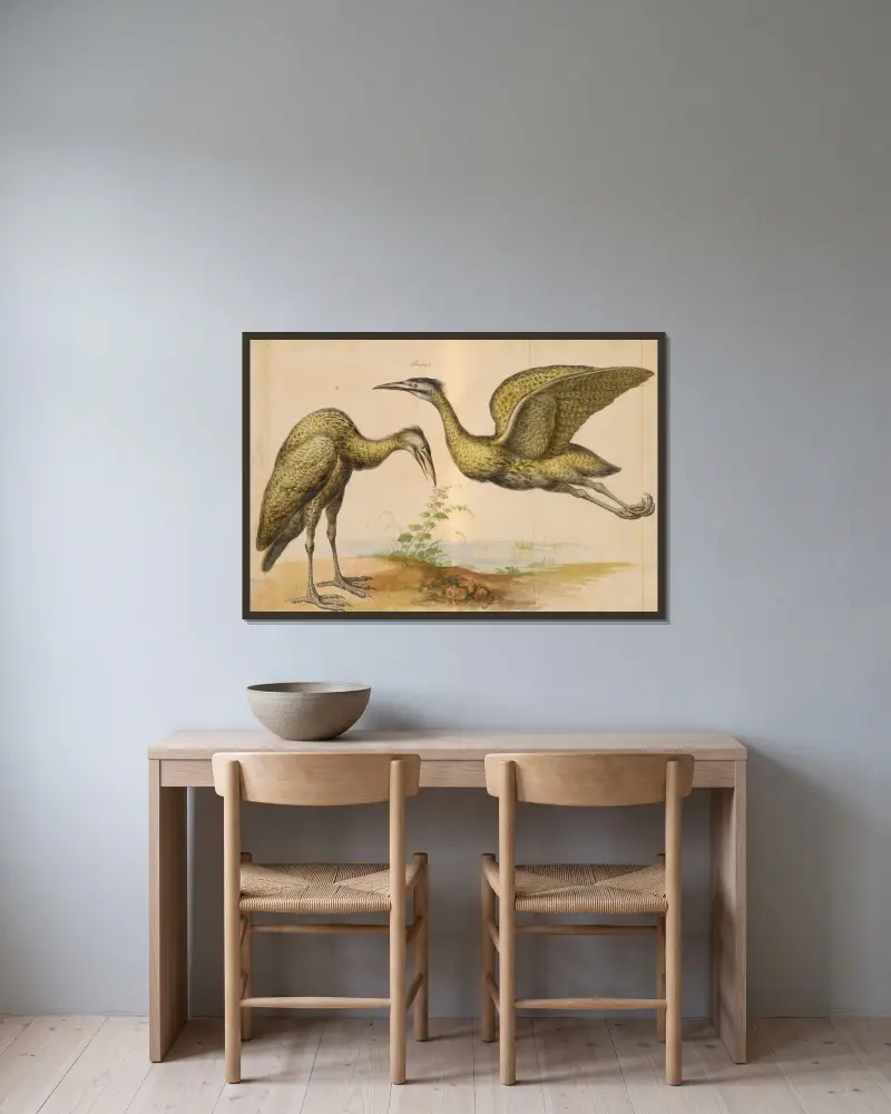 Vögel aus der Menagerie des Königs, Tafel 12 von Pieter Boel gerahmt an einer Wand