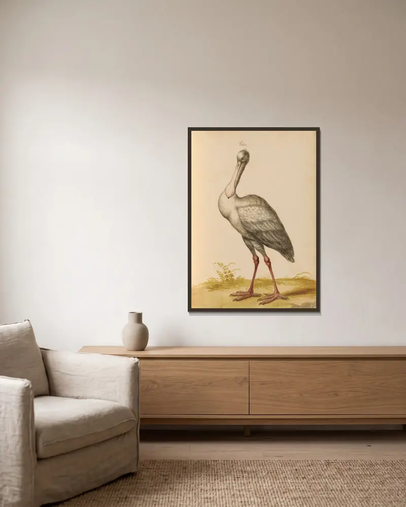 Vögel aus der Menagerie des Königs, Tafel 35 von Pieter Boel gerahmt an einer Wand
