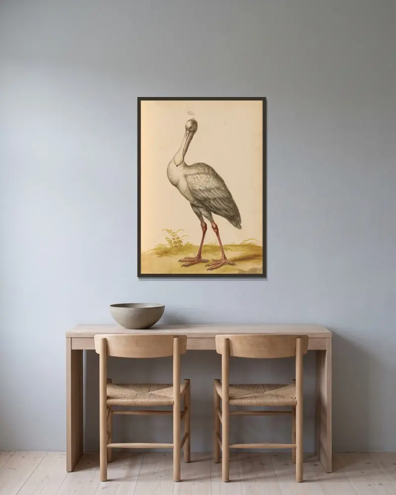 Vögel aus der Menagerie des Königs, Tafel 35 von Pieter Boel gerahmt an einer Wand