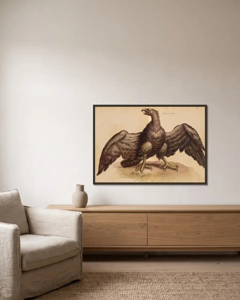 Vögel aus der Menagerie des Königs, Taf. 36 von Pieter Boel gerahmt an einer Wand