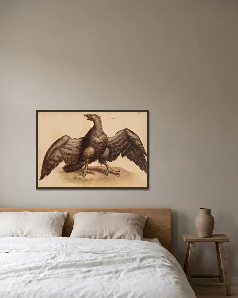 Vögel aus der Menagerie des Königs, Taf. 36 von Pieter Boel gerahmt an einer Wand