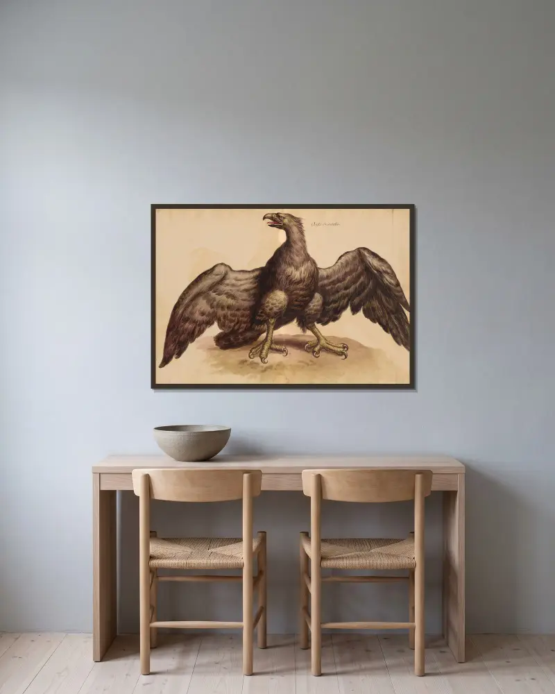 Vögel aus der Menagerie des Königs, Taf. 36 von Pieter Boel gerahmt an einer Wand