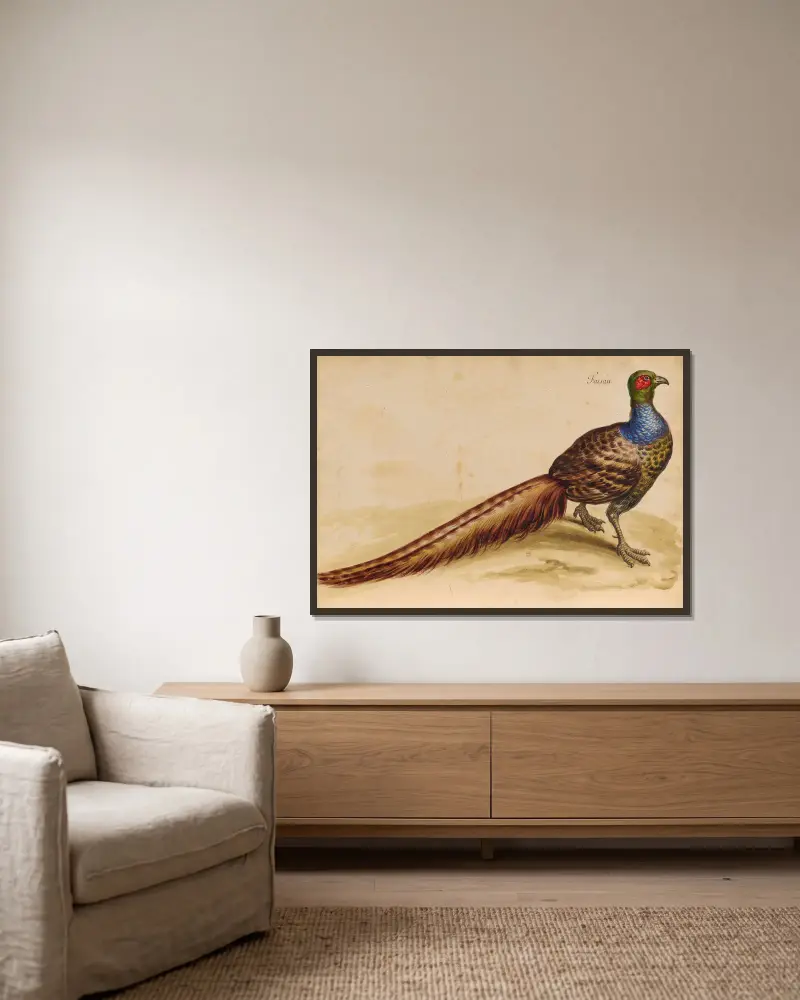 Vögel aus der Menagerie des Königs, Tafel 47 von Pieter Boel gerahmt an einer Wand