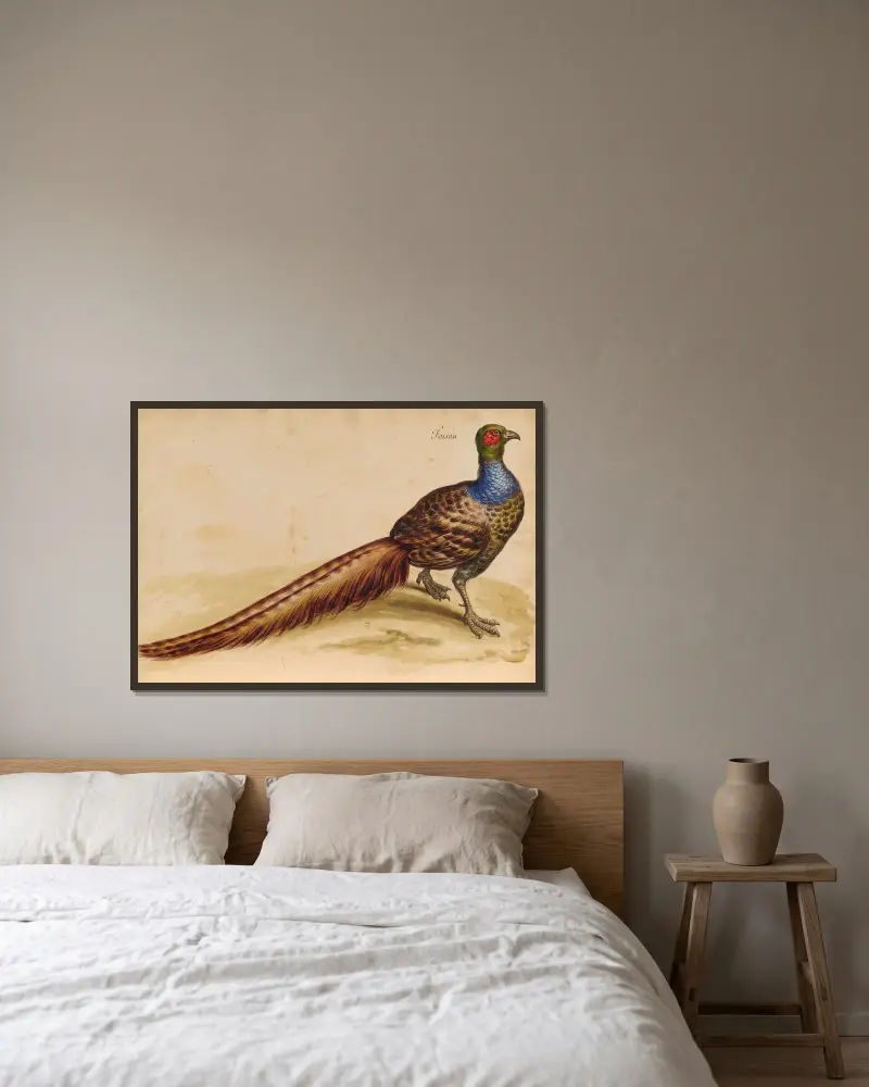 Vögel aus der Menagerie des Königs, Tafel 47 von Pieter Boel gerahmt an einer Wand