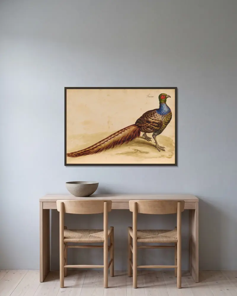 Vögel aus der Menagerie des Königs, Tafel 47 von Pieter Boel gerahmt an einer Wand