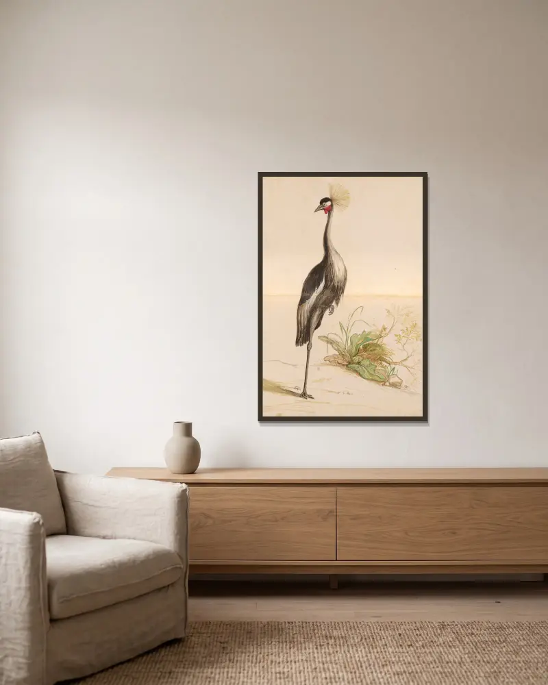 Vögel aus der Menagerie des Königs Tafel 55 von Pieter Boel gerahmt an einer Wand