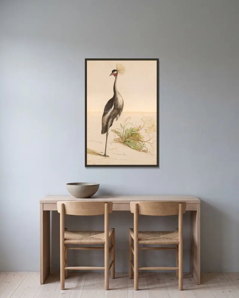 Vögel aus der Menagerie des Königs Tafel 55 von Pieter Boel gerahmt an einer Wand