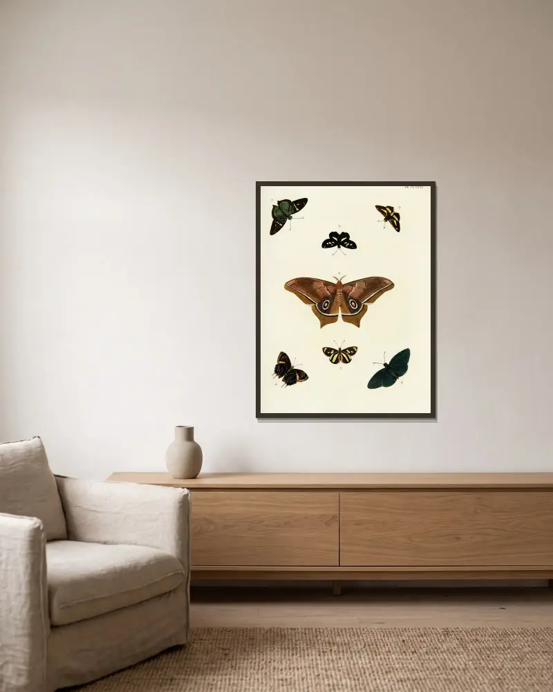 Fremdländische Schmetterlinge aus den drei Kontinenten Asien, Afrika und Amerika, Tafel 423 von Pieter Cramer gerahmt an einer Wand