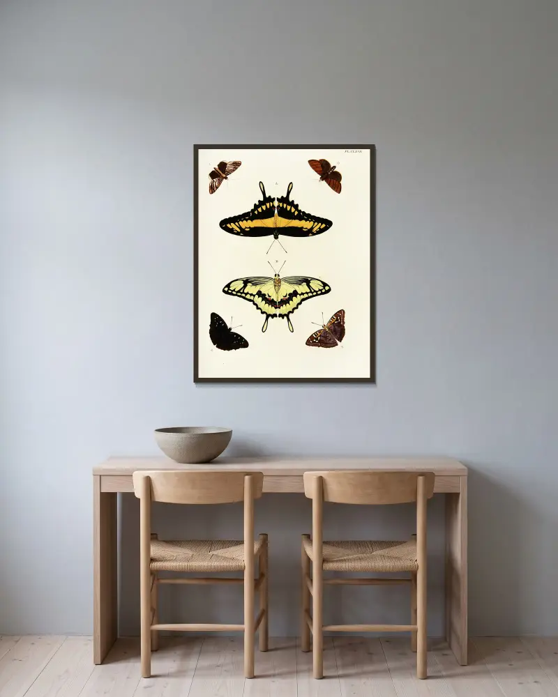 Ausländische Schmetterlinge aus den drei Kontinenten Asien, Afrika und Amerika, Tafel 414 von Pieter Cramer gerahmt an einer Wand