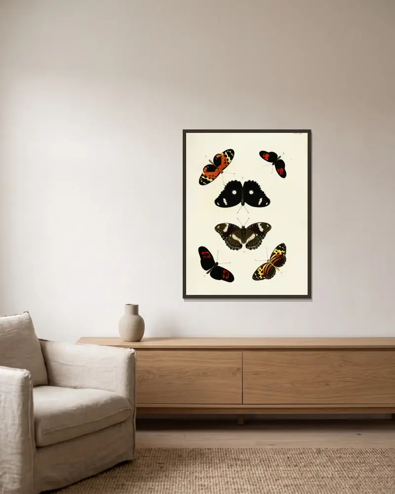Ausländische Schmetterlinge aus den drei Kontinenten Asien, Afrika und Amerika, Tafel 437 von Pieter Cramer gerahmt an einer Wand