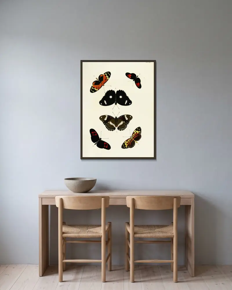 Ausländische Schmetterlinge aus den drei Kontinenten Asien, Afrika und Amerika, Tafel 437 von Pieter Cramer gerahmt an einer Wand