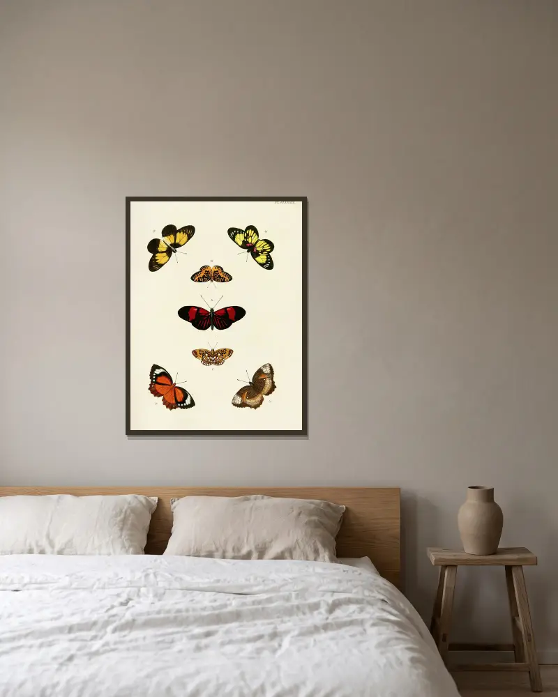 Ausländische Schmetterlinge aus den drei Kontinenten Asien, Afrika und Amerika, Tafel 436 von Pieter Cramer gerahmt an einer Wand