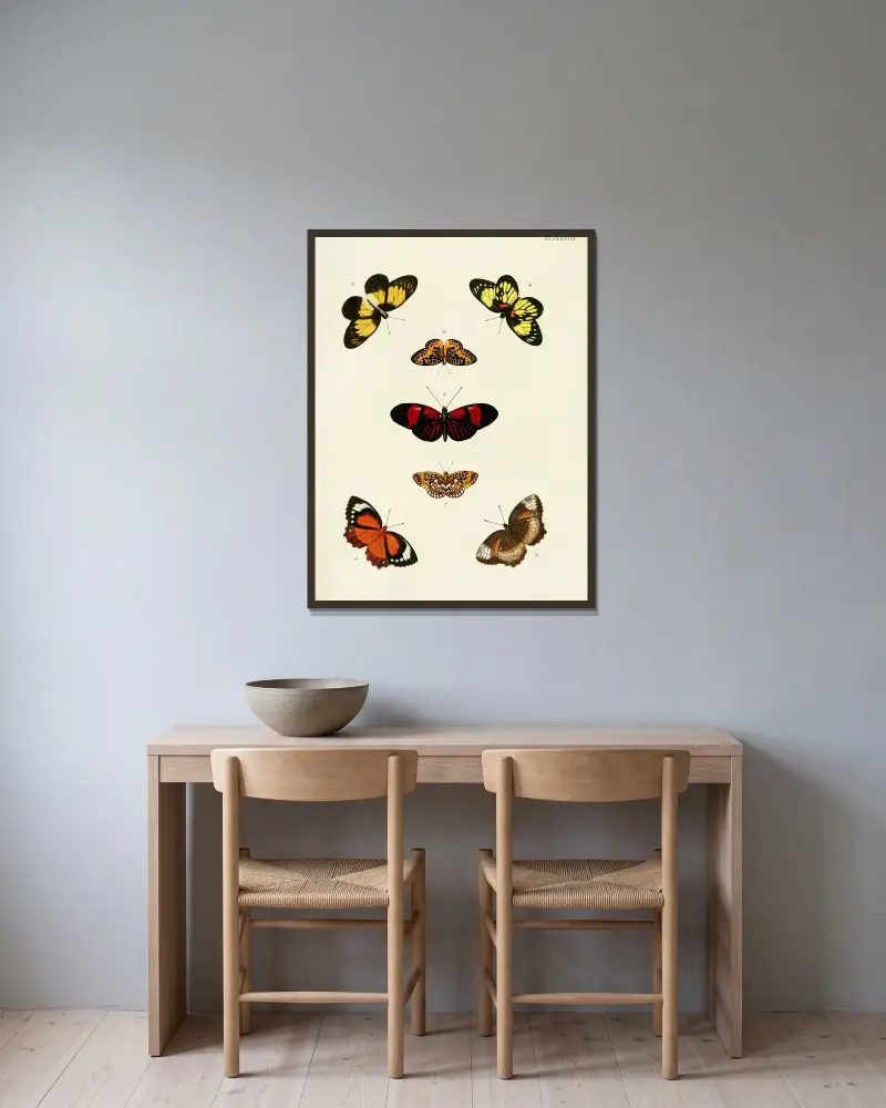 Ausländische Schmetterlinge aus den drei Kontinenten Asien, Afrika und Amerika, Tafel 436 von Pieter Cramer gerahmt an einer Wand
