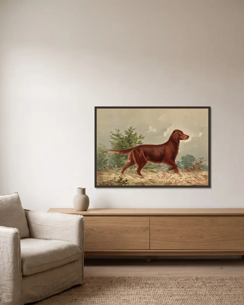 Standing Flatcoated Retriever, facing right av Alexander Pope Jr. inramad på en vägg