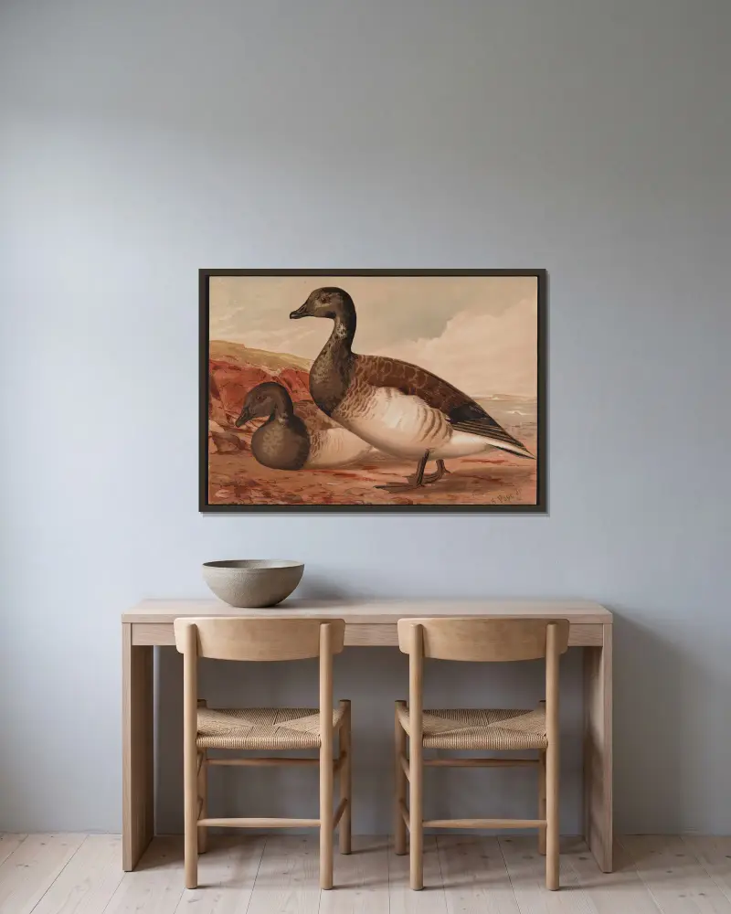 Bernikla tmavá (Branta bernicla), Alexander Pope Jr. v rámu na stěně