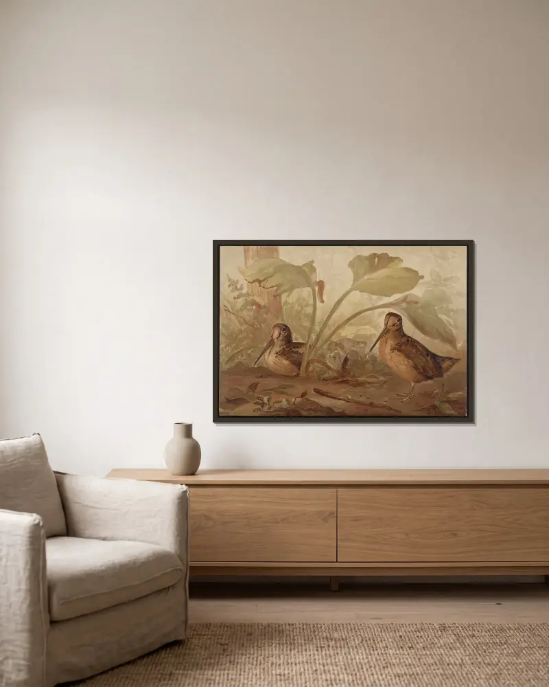 The woodcock (Philohela minor) av Alexander Pope Jr. inramad på en vägg