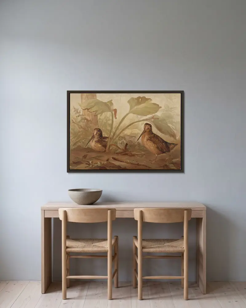 The woodcock (Philohela minor) av Alexander Pope Jr. inramad på en vägg