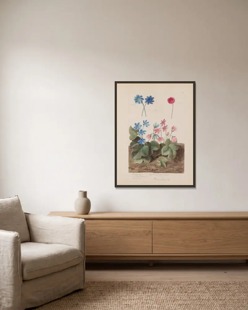 Botanisches Album Tafel 208 von Constant Amable Prevost-Hersant gerahmt an einer Wand