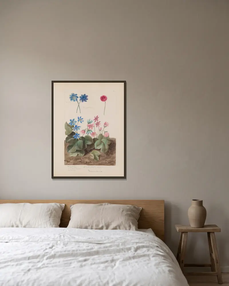 Botanisches Album Tafel 208 von Constant Amable Prevost-Hersant gerahmt an einer Wand
