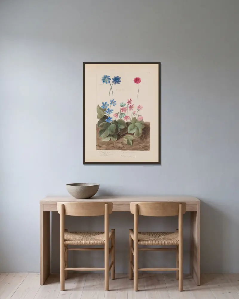 Botanisches Album Tafel 208 von Constant Amable Prevost-Hersant gerahmt an einer Wand
