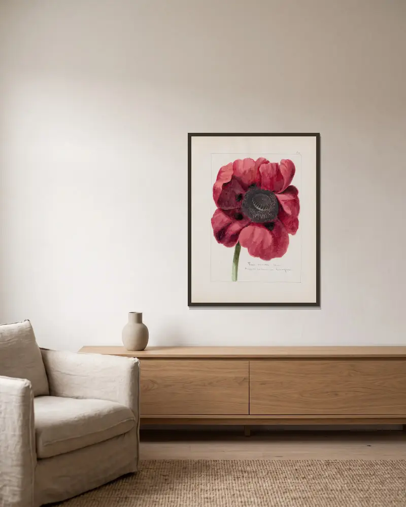 Botanisches Album, Tafel 210 von Constant Amable Prevost-Hersant gerahmt an einer Wand