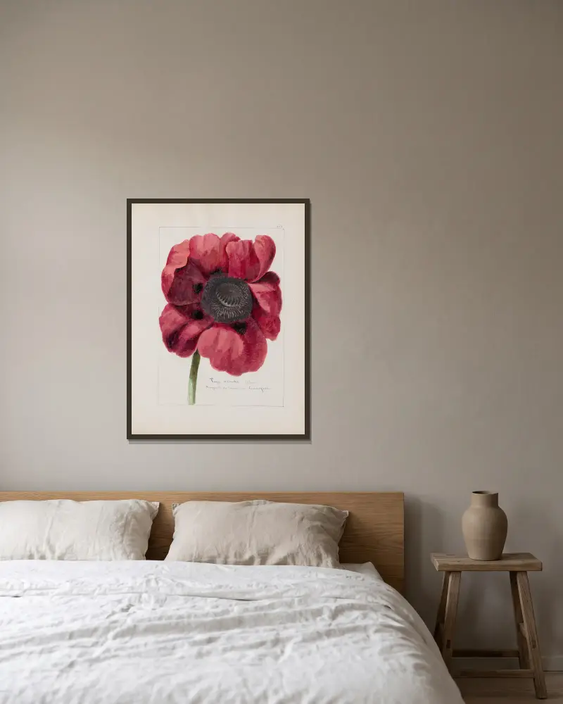 Botanisches Album, Tafel 210 von Constant Amable Prevost-Hersant gerahmt an einer Wand