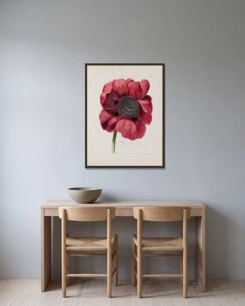 Botanisches Album, Tafel 210 von Constant Amable Prevost-Hersant gerahmt an einer Wand
