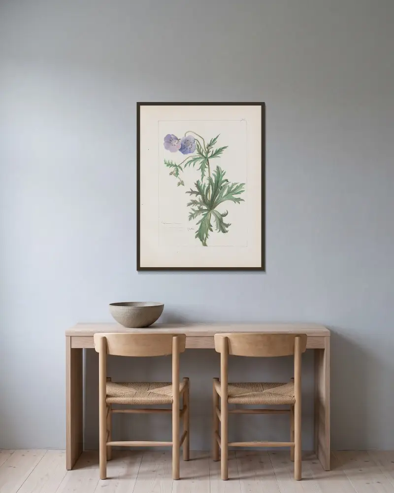 Botanisches Album Tafel 244 von Constant Amable Prevost-Hersant gerahmt an einer Wand