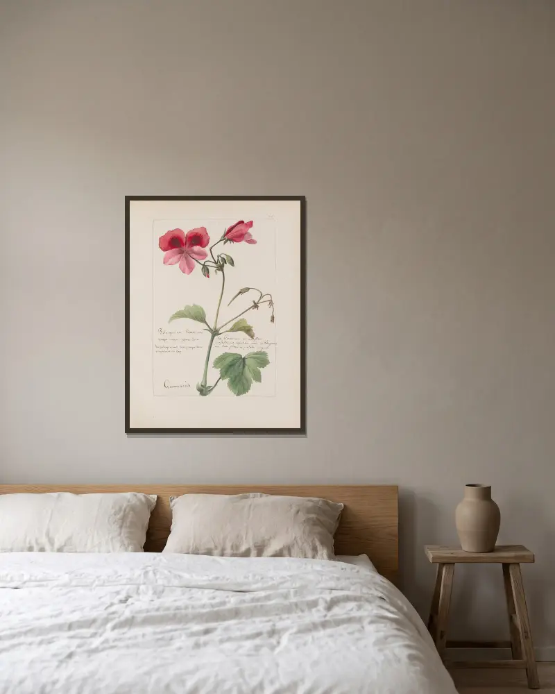 Botanisches Album Taf. 249 von Constant Amable Prevost-Hersant gerahmt an einer Wand