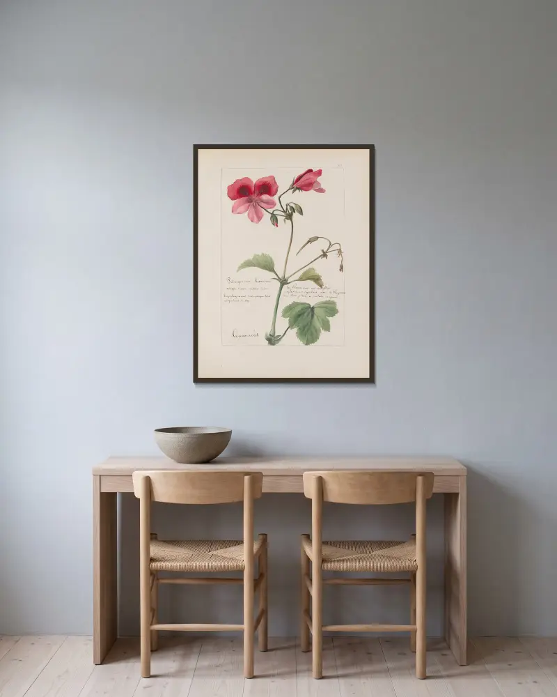 Botanisches Album Taf. 249 von Constant Amable Prevost-Hersant gerahmt an einer Wand