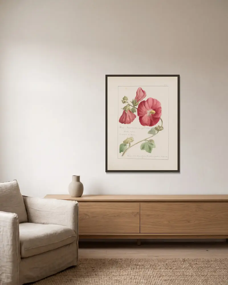 Botanisches Album Pl. 256 von Constant Amable Prevost-Hersant gerahmt an einer Wand
