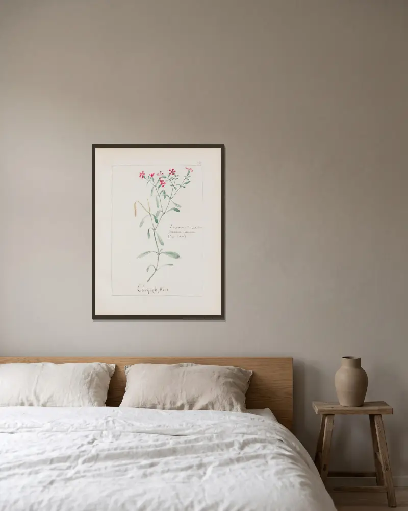 Botanisches Album, Tafel 268 von Constant Amable Prevost-Hersant gerahmt an einer Wand