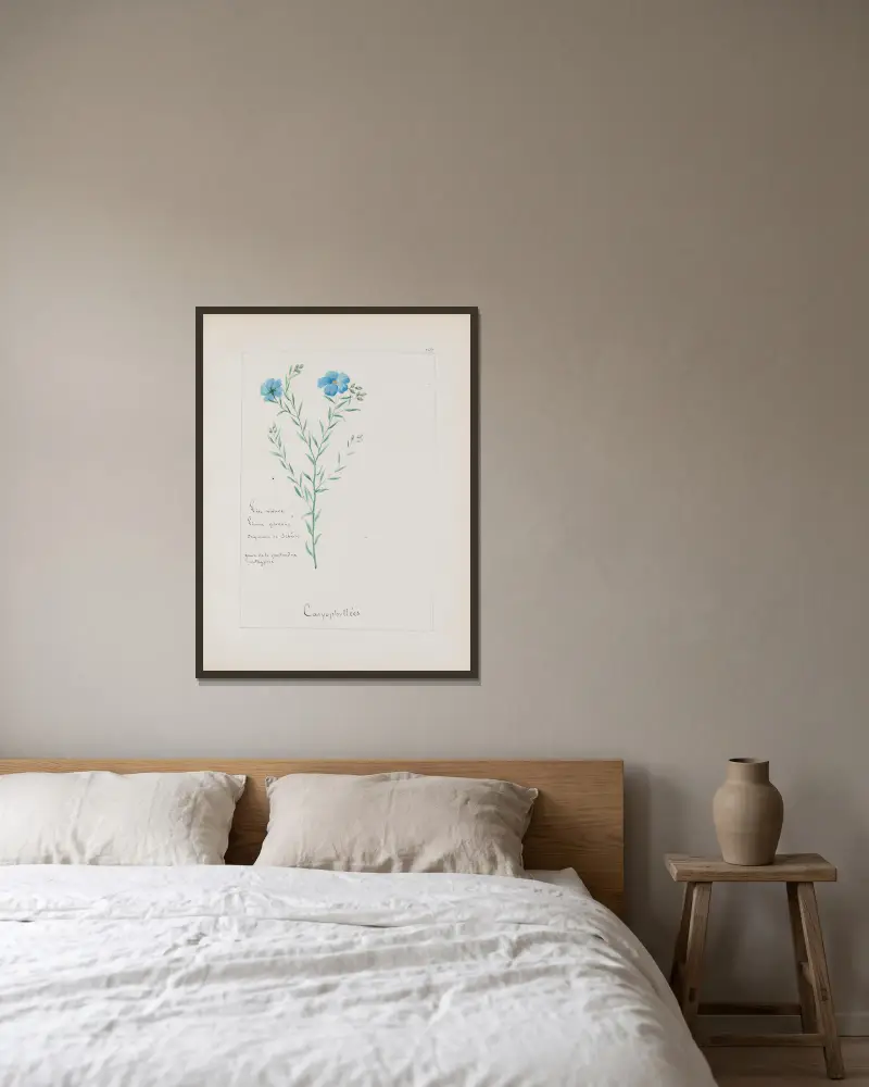 Botanisches Album Pl. 272 von Constant Amable Prevost-Hersant gerahmt an einer Wand