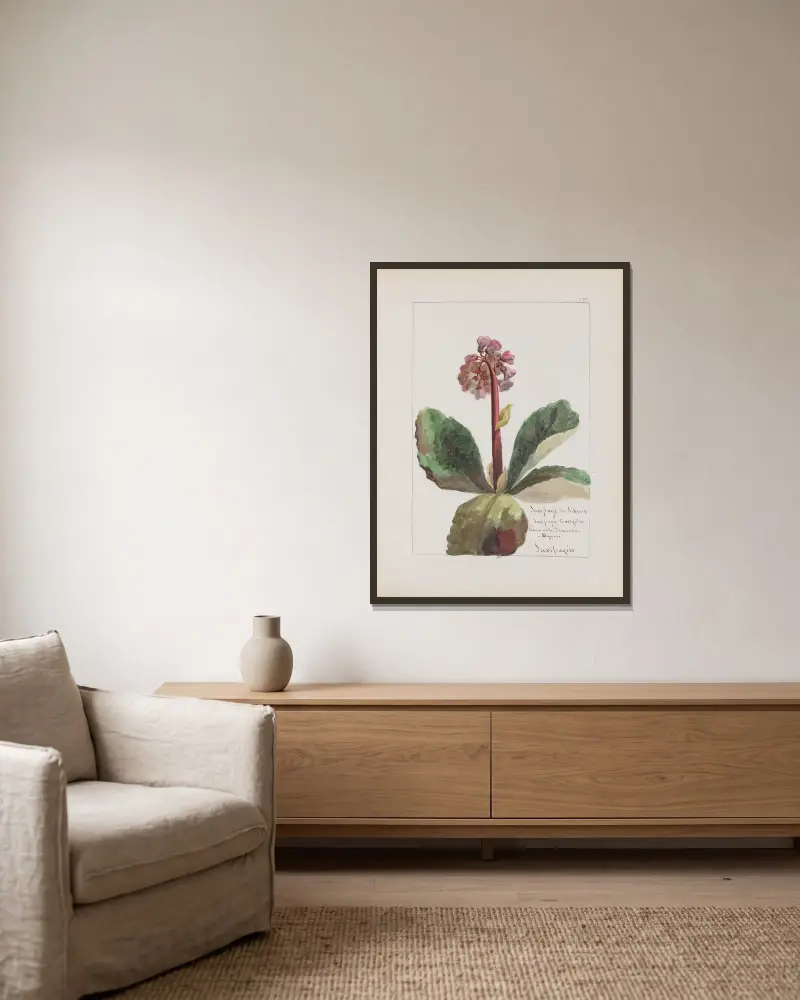 Botanisches Album Pl. 281 von Constant Amable Prevost-Hersant gerahmt an einer Wand