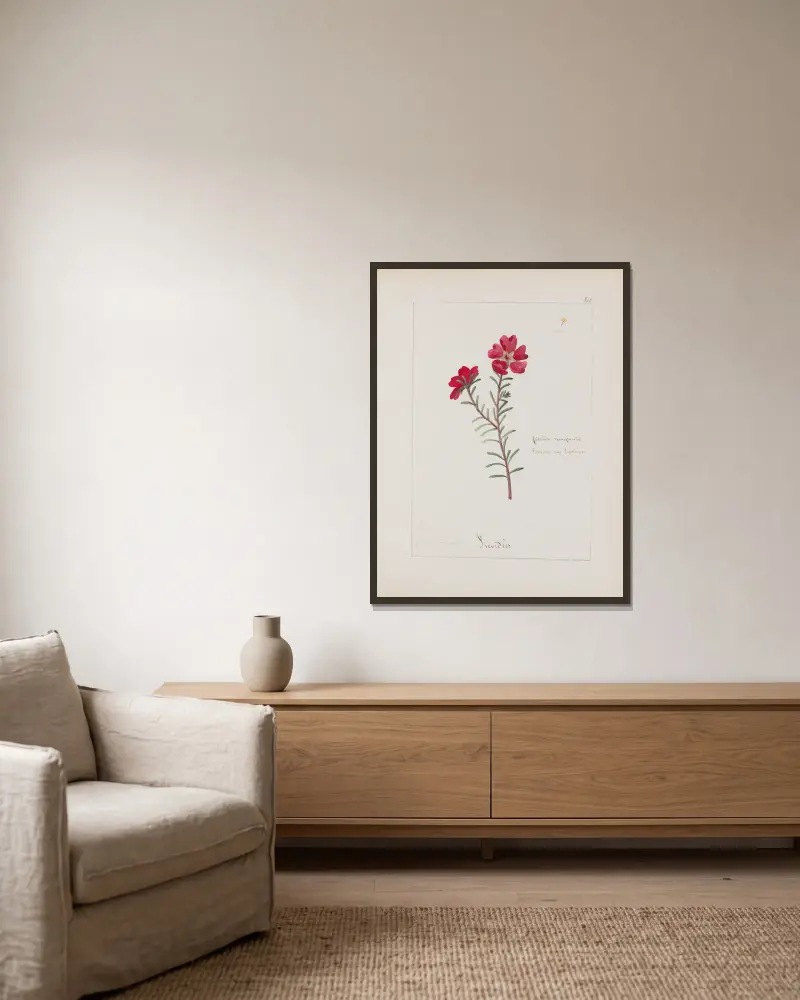 Botanisches Album Tafel 285 von Constant Amable Prevost-Hersant gerahmt an einer Wand