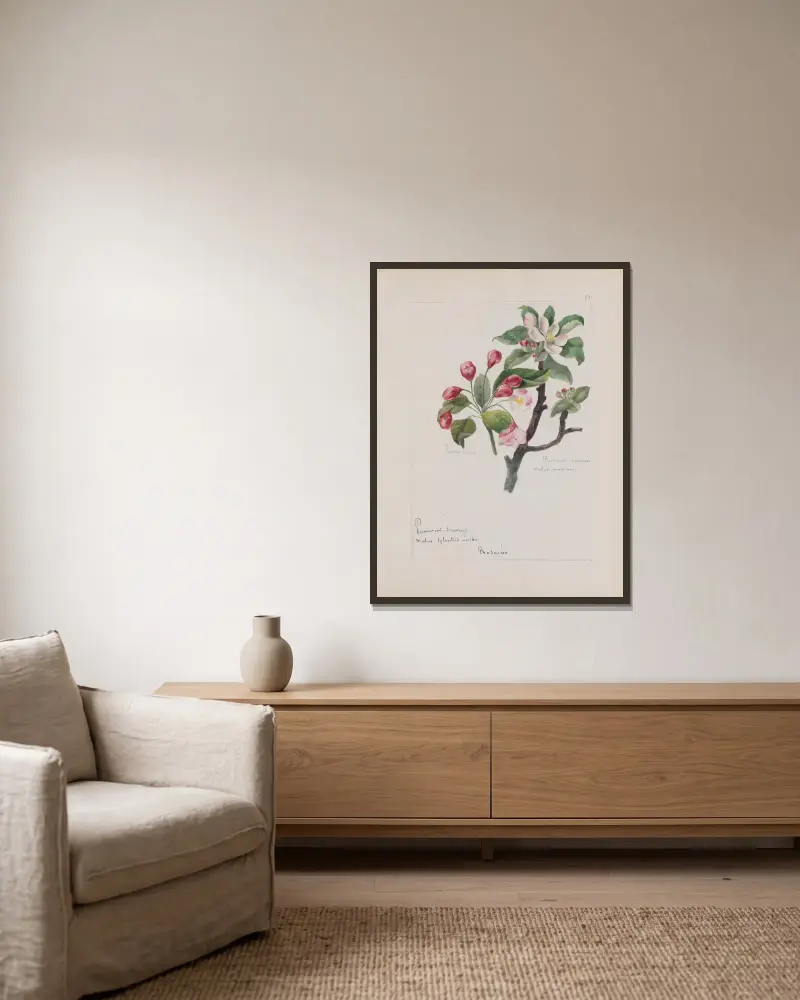 Botanisches Album, Tafel 297 von Constant Amable Prevost-Hersant gerahmt an einer Wand