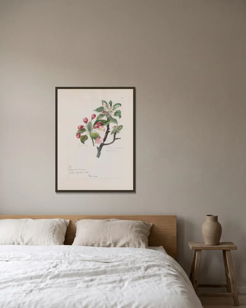 Botanisches Album, Tafel 297 von Constant Amable Prevost-Hersant gerahmt an einer Wand